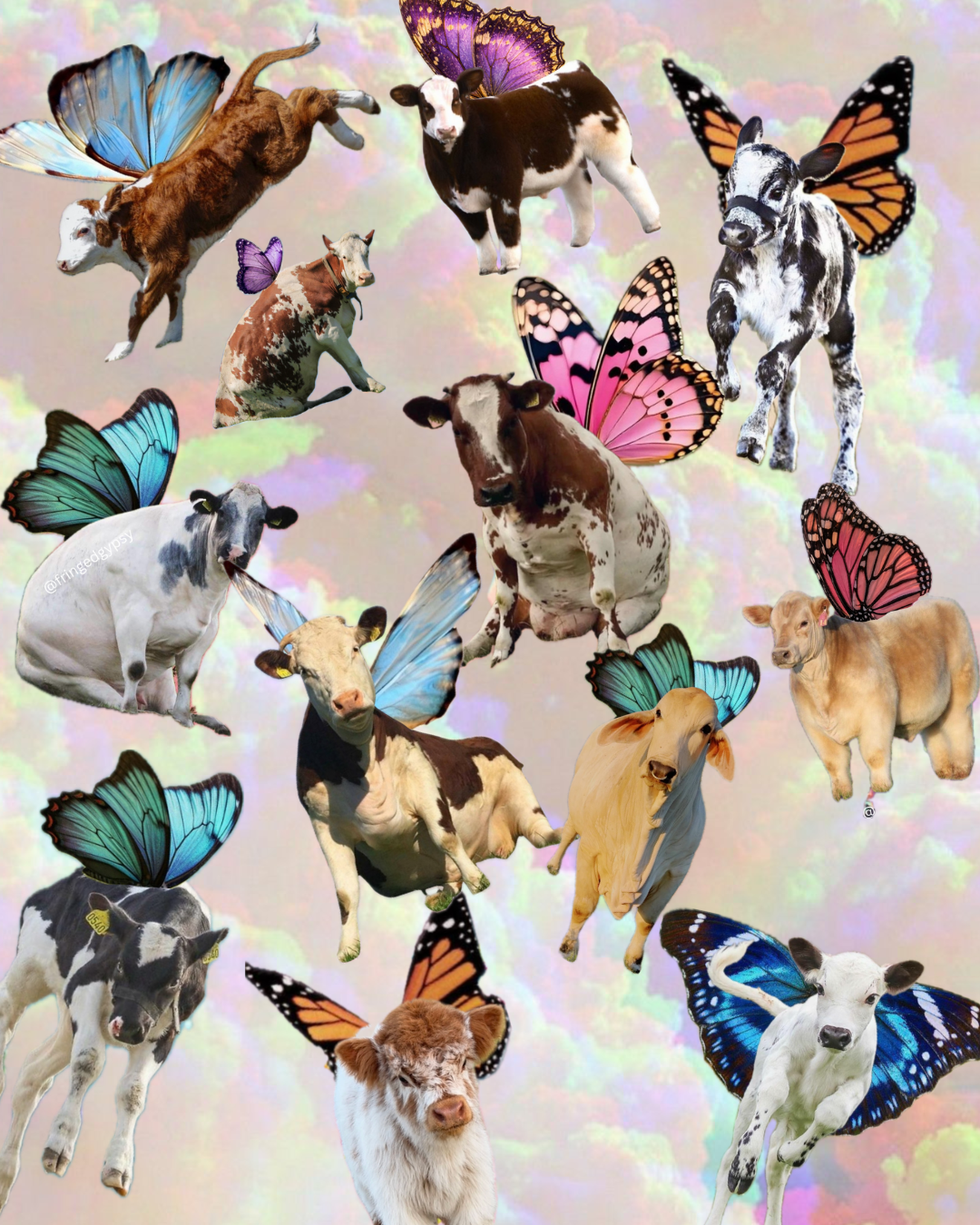 Mystery “cowterfly” sticker